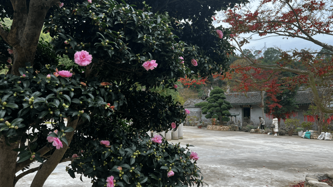 关于农历十一月重要日期的解析及黄历信息解读插图