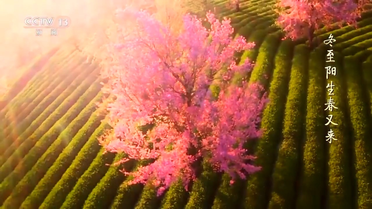 关于农历与公历的冬至日期解析，从阳历角度看，每年12月大致在冬至节气前后；但从农历看，小年即腊月二十三或二十四日。历史上的特殊年份如部分辛亥革命前后的年份及特定时间段（例如十九世纪后半叶至二十世纪前半叶的某些年代），以及具体的传统习俗和庆祝活动都与这一天有关。冬节、亚岁，是中国传统节日之一，兼具自然与人文化内涵。插图