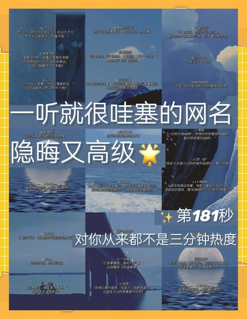关于起有含义网名的标题，挑选独特网名，展现个性风采插图