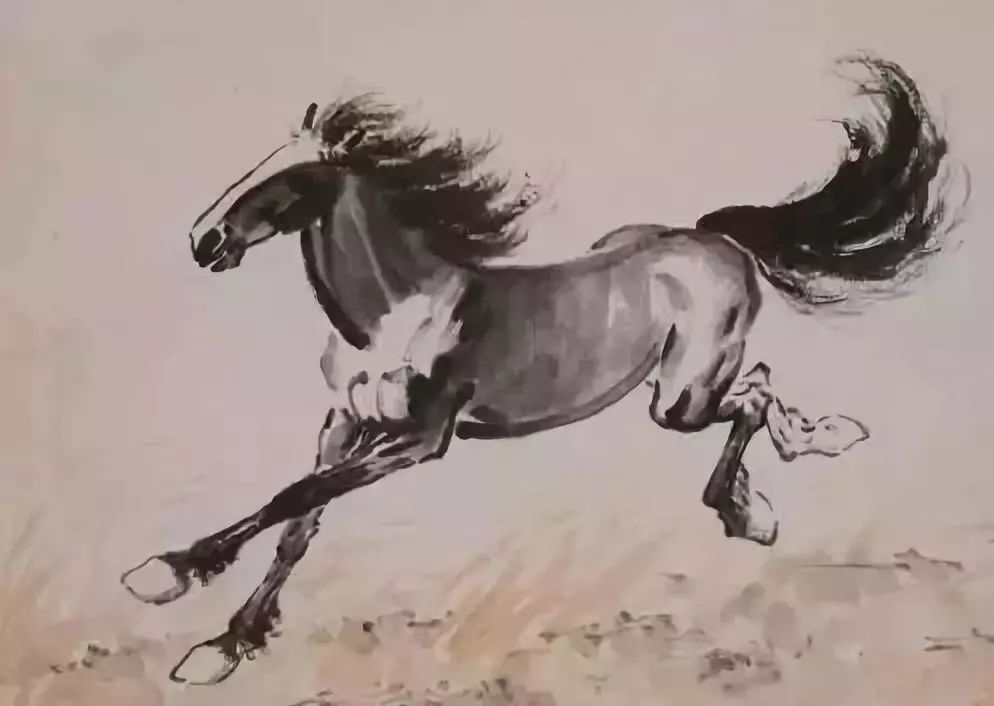 关于生肖马年龄计算的文章标题，，解析属马的2002年出生者至今年龄分布及计算方法插图