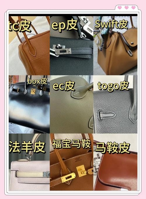 关于Claudia的真皮特性与品牌应用，解析名称含义及配置亮点插图