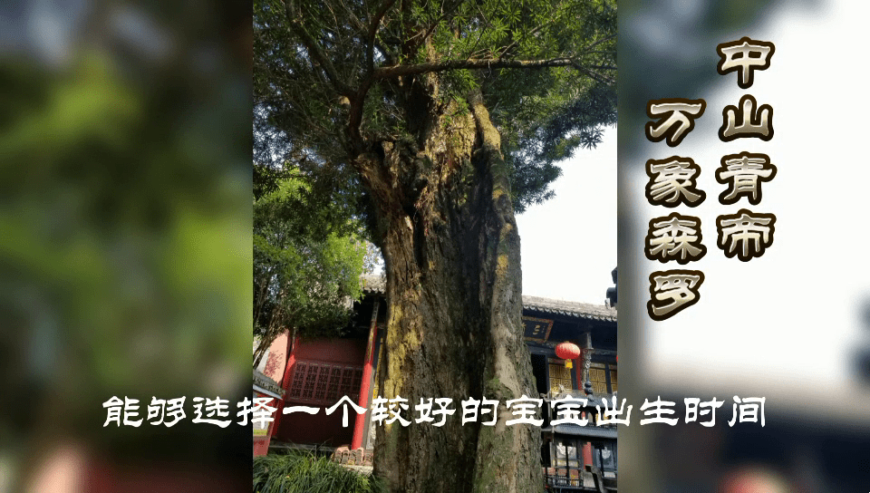 黄道吉日查询与选择建议，，十月十二宝宝出生吉时及搬家宜忌解析。，八月份剖腹产最佳日期与时间推荐。，新宅搬家的注意事项和适宜时间分析。插图