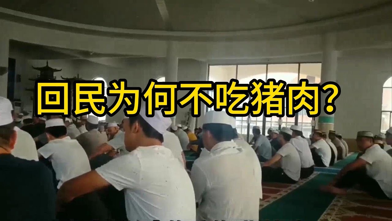 回民为何禁食猪肉插图