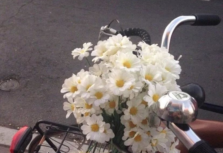 好听女生昵称精选插图