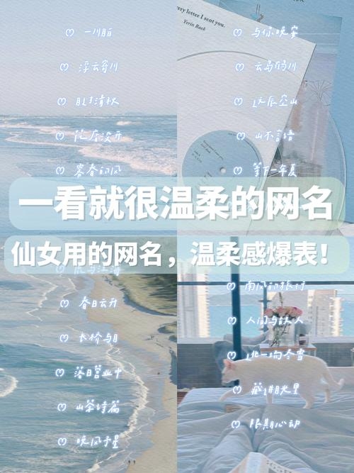 好听女生网名精选。插图