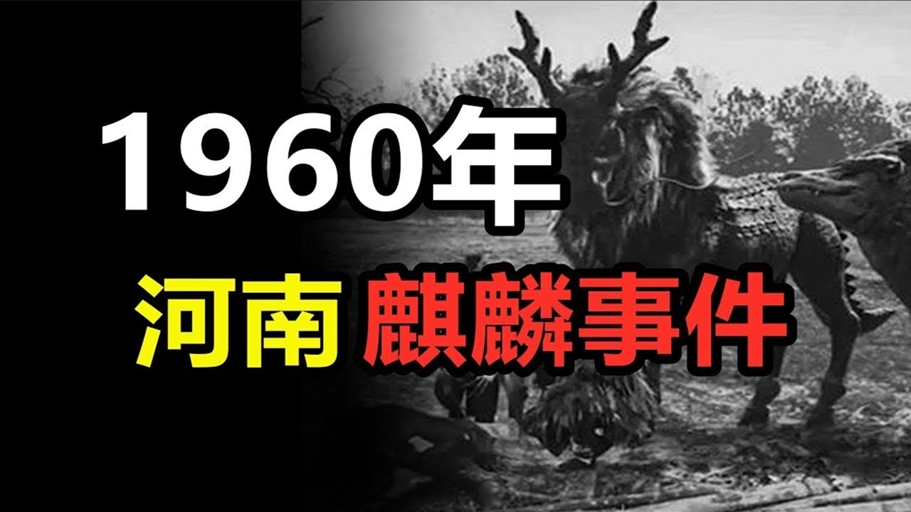 河南河北一条河与生肖之谜插图