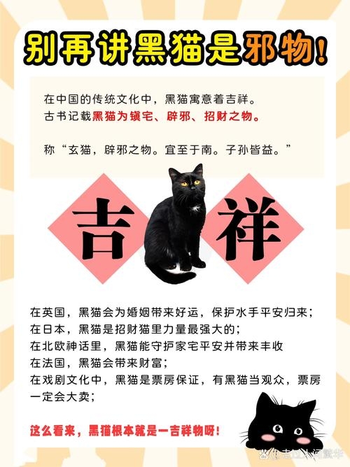 黑猫进家，吉凶之兆？插图