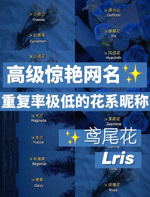 花藤名字大全插图