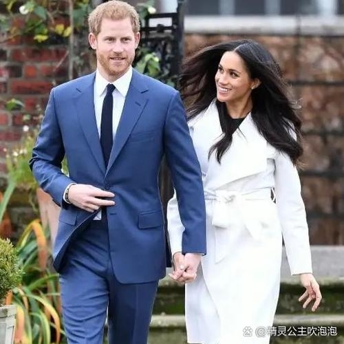 哈里王子后代命名传统与文化意义插图