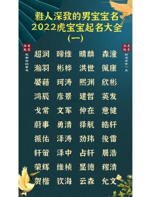 虎宝宝男孩取名大全2022款插图