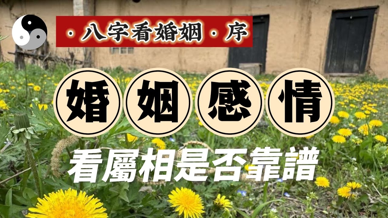 婚姻运势秘传，八字看婚姻精准分析插图