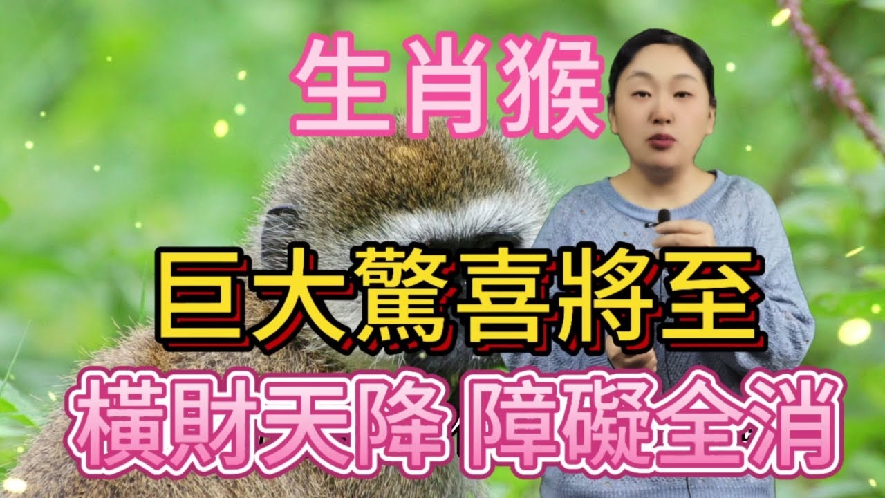 火眼金睛精准生肖，猴插图