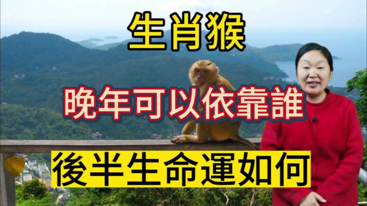 后院种树指猴生肖。插图