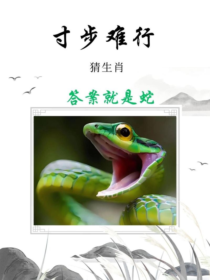 恨之入骨，答案锁定生肖蛇插图