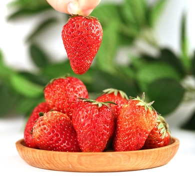 久草平台使用指南及草莓品种比较，红颜与久久哪个更合你口味？插图