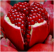 结婚习俗概览，入门礼仪、交换戒指与喜糖仪式等婚礼流程详解插图