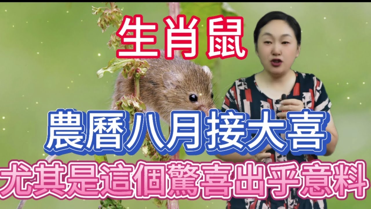 九九重阳生肖鼠插图