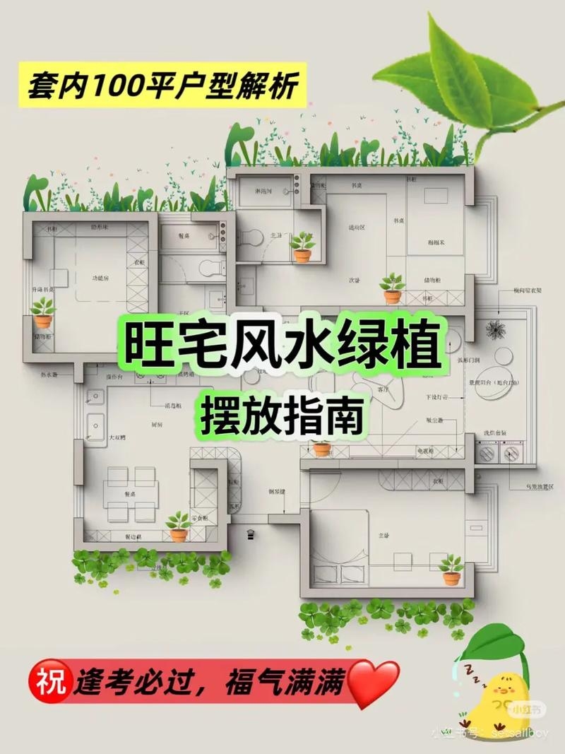 家居风水植物摆放指南插图