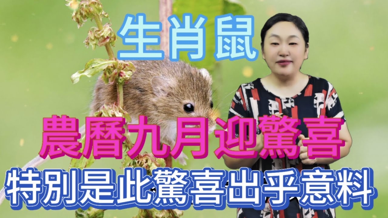 九九归一生肖是鼠插图