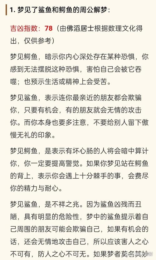 解梦大全，鳄鱼与白光的梦境解析及水泥路象征意义插图