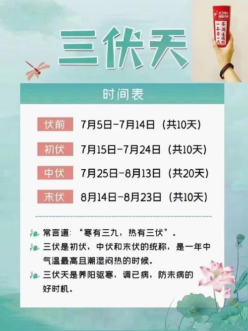 今年入伏时间，7月15日，三伏天详细时间表及特点介绍插图