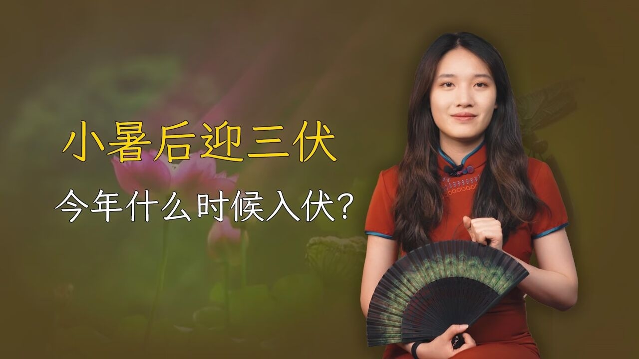今年三伏天特点与入伏时间解析，7月20日入伏，热力集中，高温超40℃插图
