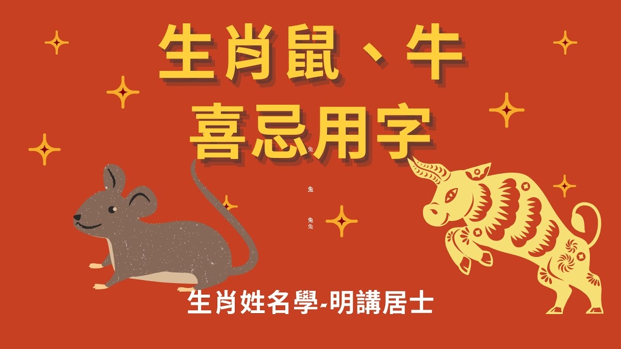 九牛一毛指生肖鼠插图