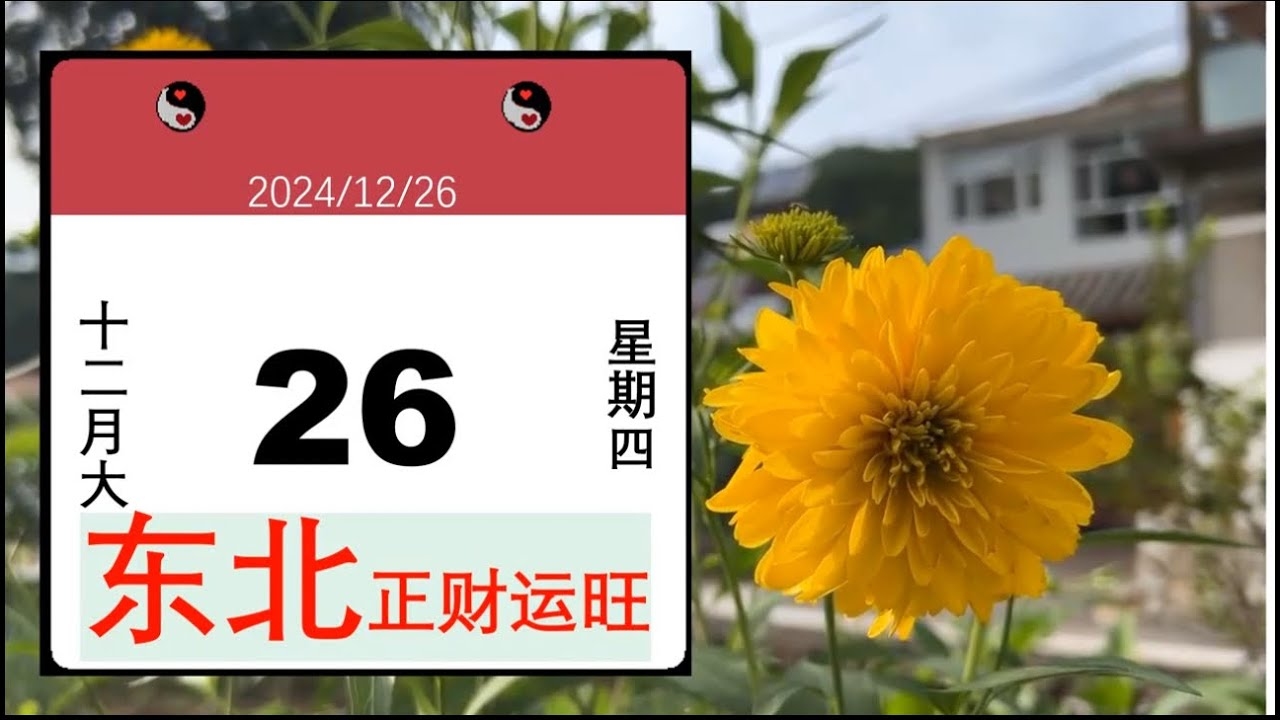 今日财运方位正东解析。插图