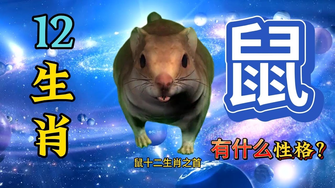 九死一生指生肖鼠。插图