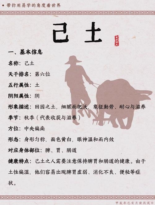 己土生于未月，命理特点与性格展望插图