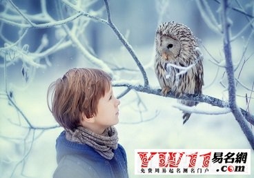 精选带木字旁的男孩名字及寓意解析插图