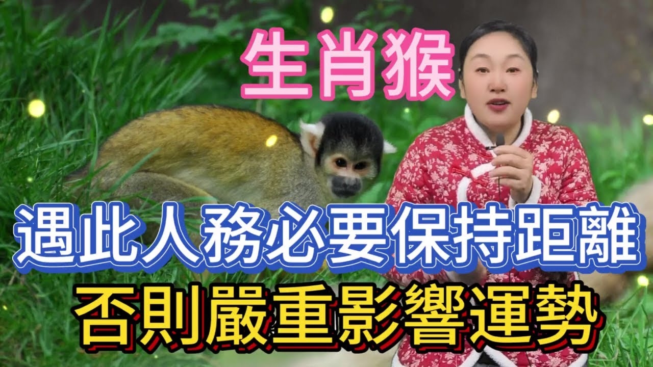 见异思迁指的是生肖猴。插图