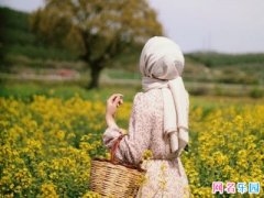 精选网名推荐,南音北乐、空心凉城等,个性独特又好听。潮流焦点回顾2019最火情侣网名!插图 精选网名推荐,南音北乐、空心凉城等,个性独特又好听。潮流焦点回顾2019最火情侣网名!插图