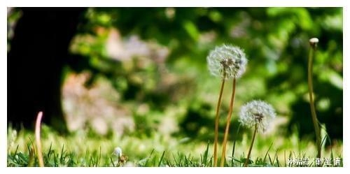 静心昵称推荐，寒心若冰、自律归真。寓意内心冷静，坚韧不拔。插图