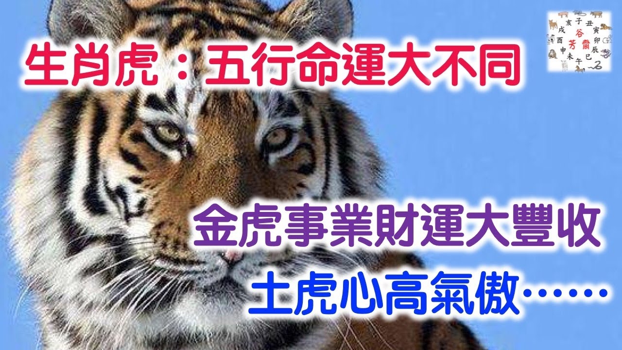 建议，，关于生肖虎命运解析，水虎之命事业腾飞与挑战重重的人生三大坎插图