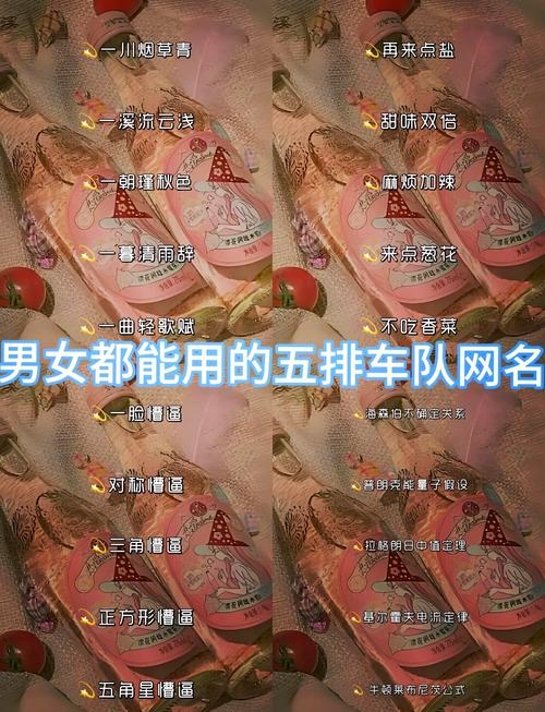 建议，，结拜名字精选，五人游戏名起法解析与推荐插图