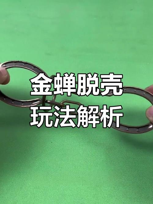 金蝉脱壳之梦解析插图 金蝉脱壳之梦解析插图