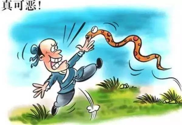 建议，，梦见打死蛇的寓意与解析，预示积极变化与健康状态插图