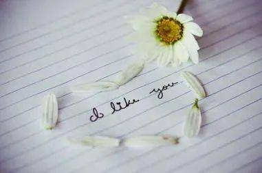 精选舒适网名推荐，阳光心态、微笑人生、安然若素插图