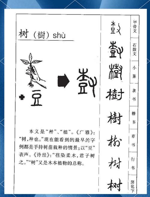 建树拼音释义标题，直接生成一个20-30字的标题为，解析建树的读音与含义——jiàn shù。插图