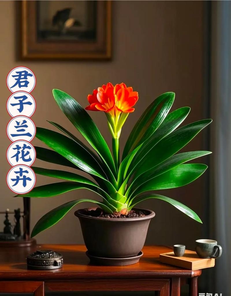 家里最旺财的十种花，君子兰，夜色苍翠有光泽，花朵形似火炬，象征着美好高尚的品质和招财旺财。其寓意富贵吉祥、繁荣昌盛、幸福美满。，水仙兰，美若仙女，花香醇芬幽远，同样具有招财之意。，金桔树，金桔寓意吉祥富贵，花开如锦绣般绚烂夺目。，牡丹花，作为国花的牡丹，自古备受喜爱且被誉为富贵花，寿命长且有祥瑞之气。，发财树，叶片饱满茂密，象征财运滚滚而来。适合新店开业或居家摆放等场合。，其他推荐花卉包括虎皮兰、兰花系列的花卉以及吊兰、鸿运当头等。插图