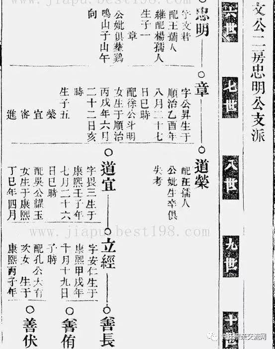 家谱制作样本概览，欧式、苏式及经典格式介绍，建议，家谱制作样本详解，欧式、苏式和多种经典格式的深度解析插图