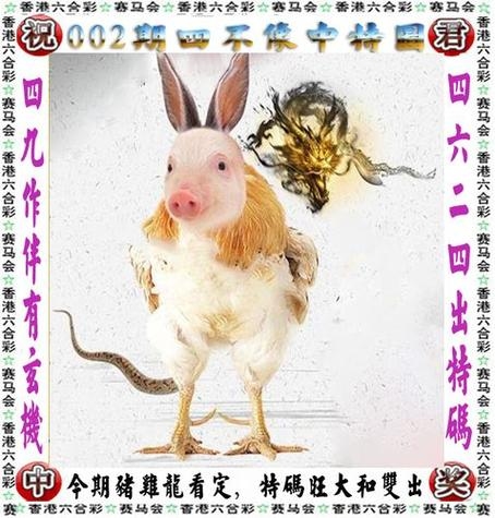 家有才女生肖鸡插图