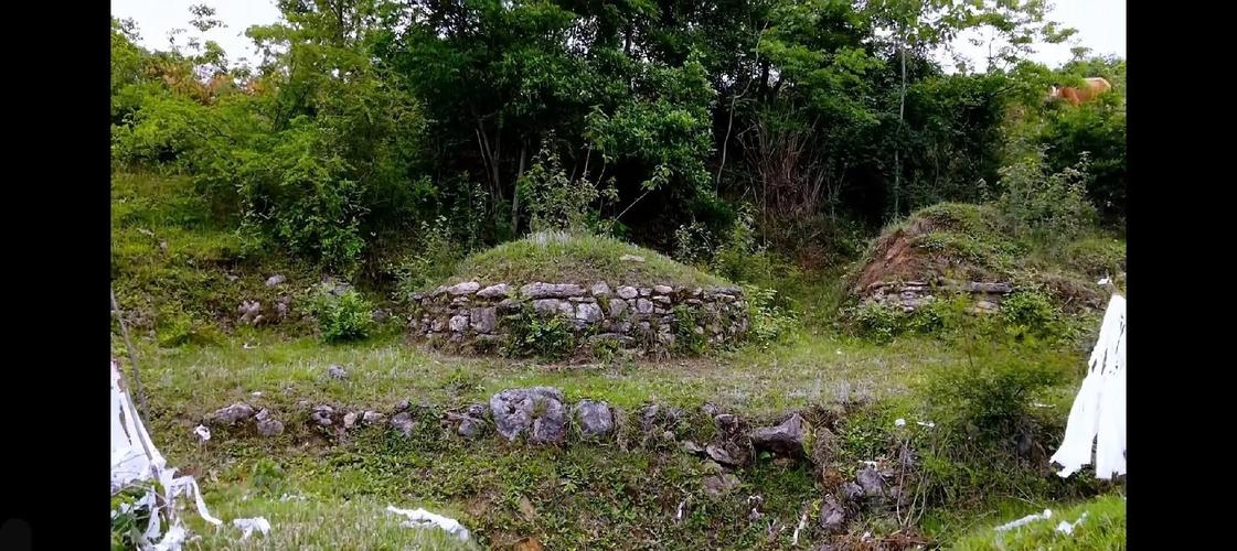 家中祖坟公鸡鸣啼预兆大人物插图