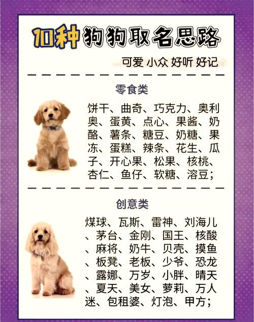 可爱狗狗名字大全及取名方法，萌犬命名指南，从叠词到个性，为你的爱宠找到完美名称！插图