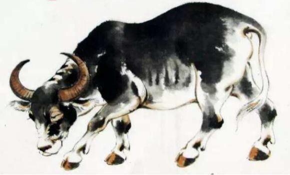 苦尽甘来，生肖牛坚韧象征。插图