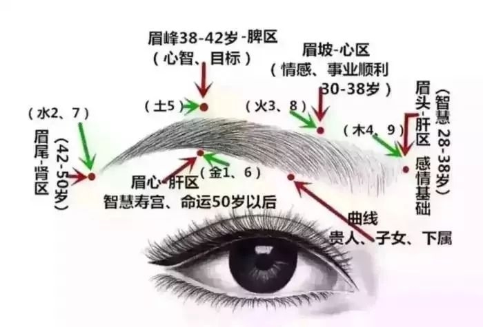 看面相判断生男生女，眉毛透露玄机，人中预测男女概率插图