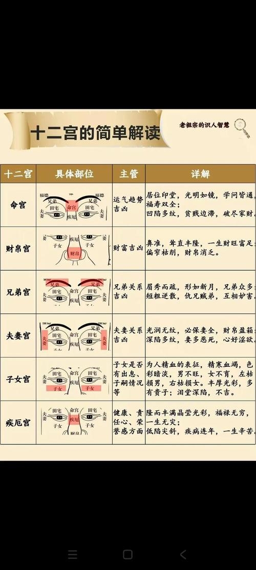 看相算命，揭秘五官与命运关联，解读面相学奥秘插图