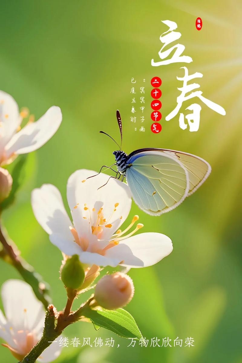 立春，春季初见之节气插图