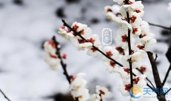 立冬与立春等节气含义及冬季开始标志解读标题建议，，立冬、立春解析，季节更替的标志及其深层寓意插图